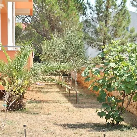 Hotel Dario 3*